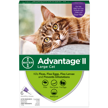 Advantage II for Cats - Flea Medicine - PetMedic