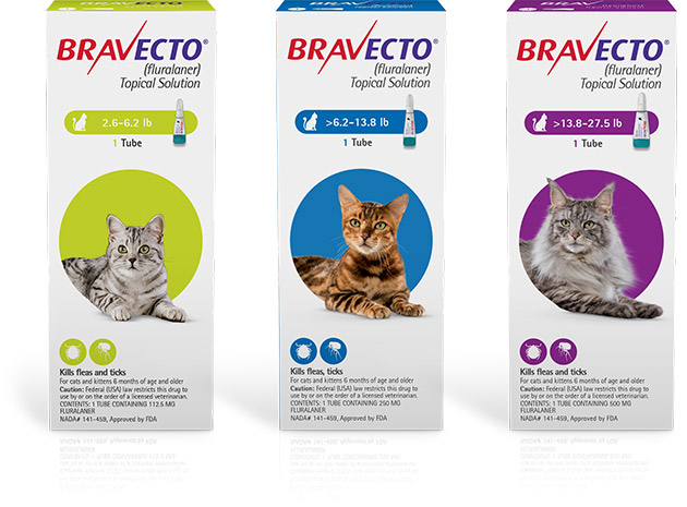 Bravecto for Cats - Pet Medic